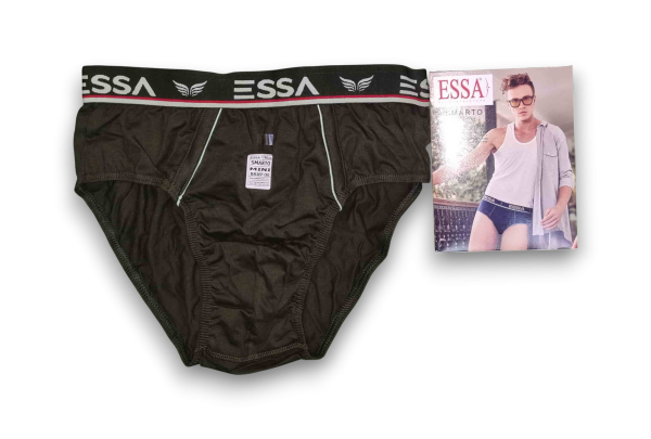 ESSA Mini Brief